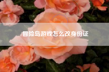 冒险岛游戏怎么改身份证