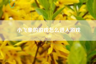 小飞象的游戏怎么进入游戏  第1张