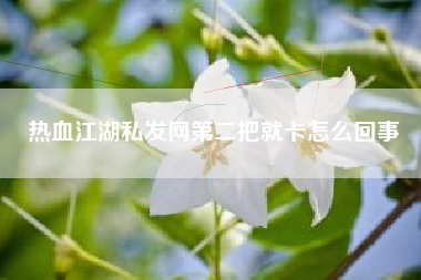 热血江湖私发网第二把就卡怎么回事