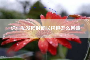 诛仙私发网时间长闪退怎么回事