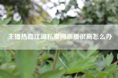 主播热血江湖私发网画质很高怎么办