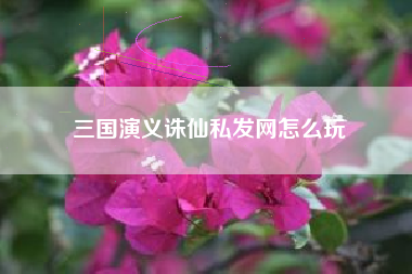 三国演义诛仙私发网怎么玩