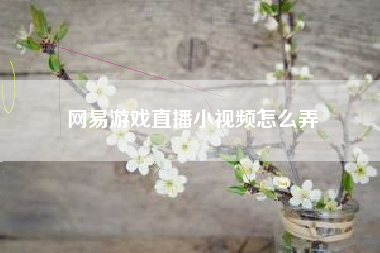 网易游戏直播小视频怎么弄