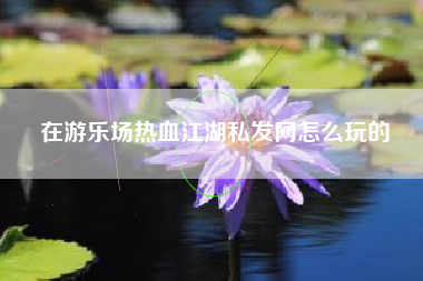 在游乐场热血江湖私发网怎么玩的