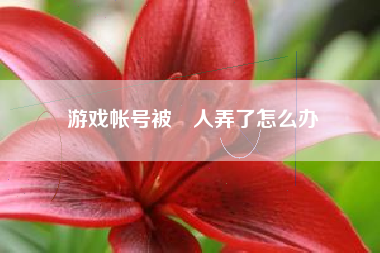 游戏帐号被別人弄了怎么办