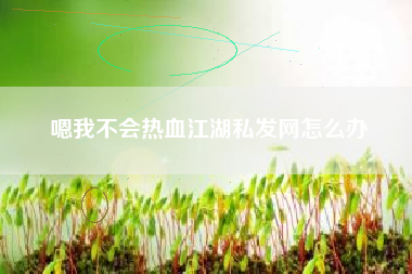 嗯我不会热血江湖私发网怎么办