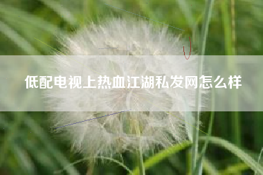 低配电视上热血江湖私发网怎么样  第1张