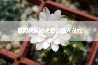 星河战队游戏怎么进入游戏