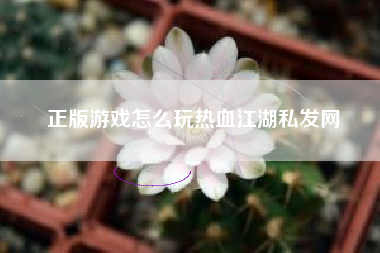 正版游戏怎么玩热血江湖私发网