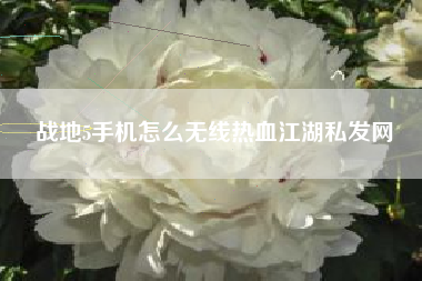 战地5手机怎么无线热血江湖私发网