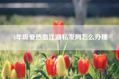 4年级爱热血江湖私发网怎么办理