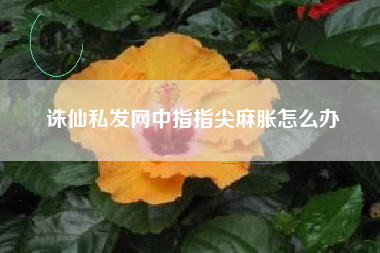 诛仙私发网中指指尖麻胀怎么办