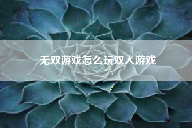 无双游戏怎么玩双人游戏