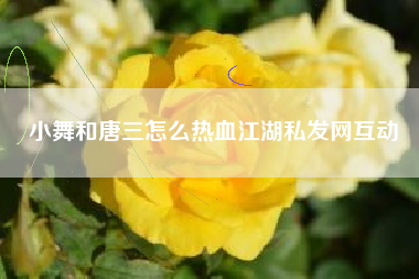 小舞和唐三怎么热血江湖私发网互动