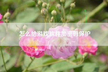 怎么给游戏软件加密码保护  第1张