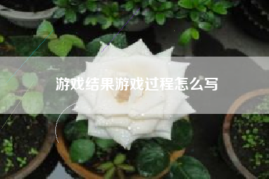 游戏结果游戏过程怎么写