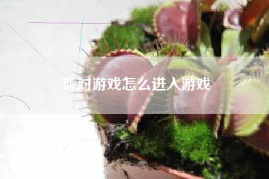 派对游戏怎么进入游戏