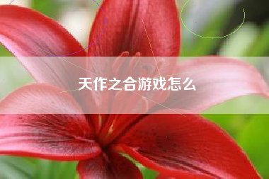 天作之合游戏怎么  第1张