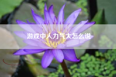 游戏中人力气大怎么说  第1张