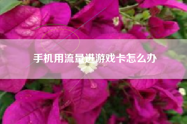 手机用流量进游戏卡怎么办