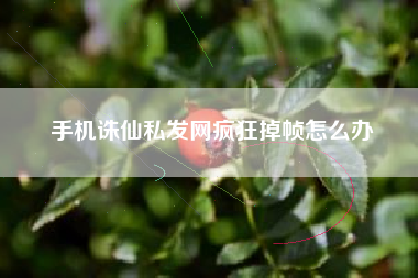 手机诛仙私发网疯狂掉帧怎么办