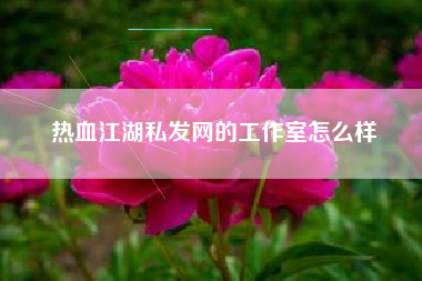 热血江湖私发网的工作室怎么样