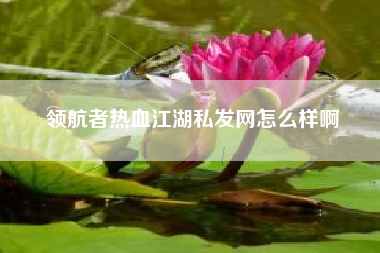领航者热血江湖私发网怎么样啊