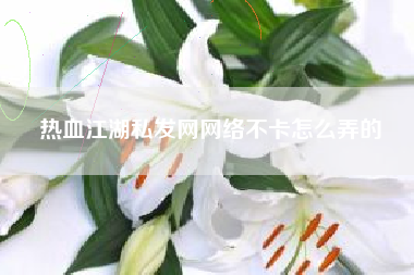 热血江湖私发网网络不卡怎么弄的