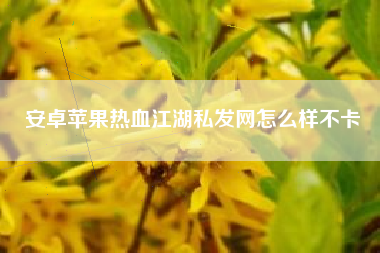 安卓苹果热血江湖私发网怎么样不卡