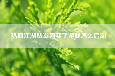 热血江湖私发网买了游戏怎么启动
