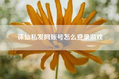 诛仙私发网账号怎么登录游戏