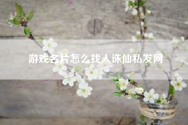 游戏名片怎么找人诛仙私发网