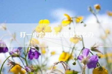 打一小会游戏就想吐怎么办