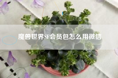 魔兽世界SF会员包怎么用微信