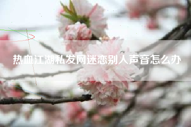 热血江湖私发网迷恋别人声音怎么办
