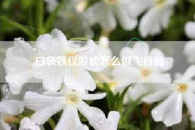 口袋妖怪游戏怎么做飞行器