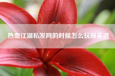 热血江湖私发网的时候怎么玩呀英语