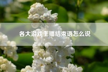 各大游戏主播结束语怎么说