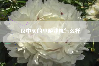 汉中卖的小游戏机怎么样