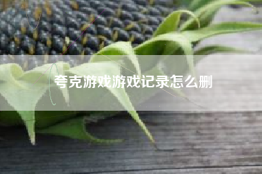夸克游戏游戏记录怎么删