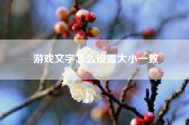 游戏文字怎么设置大小一致