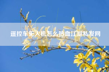 遥控车无人机怎么热血江湖私发网