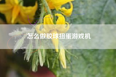 怎么做胶球扭蛋游戏机