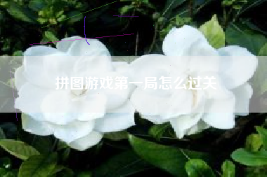 拼图游戏第一局怎么过关