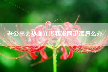 老公出去热血江湖私发网说谎怎么办