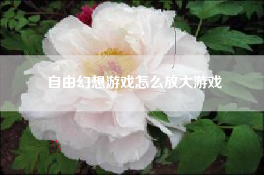 自由幻想游戏怎么放大游戏