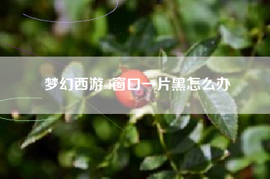梦幻西游sf窗口一片黑怎么办